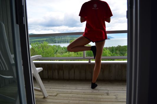 tree pose in Charlevoix Canada