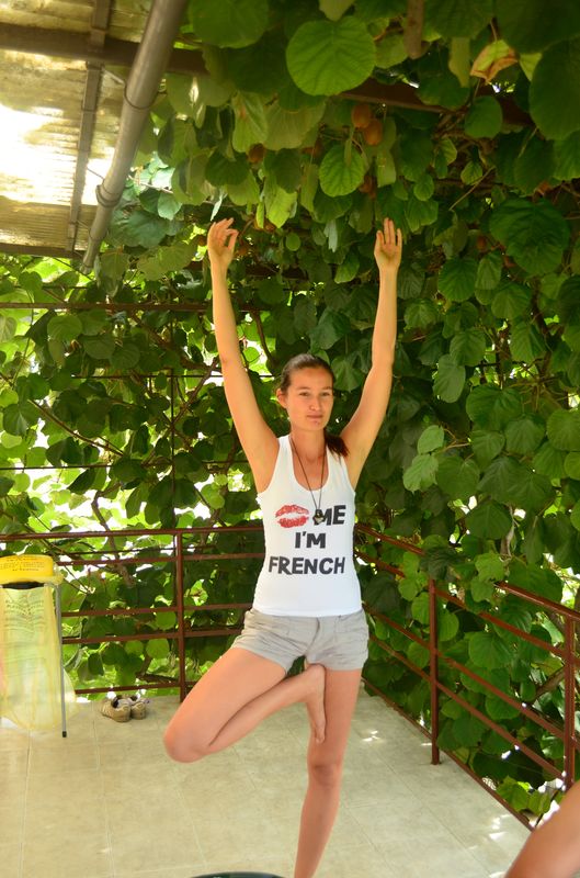 tree pose in Portoroz Slovenia